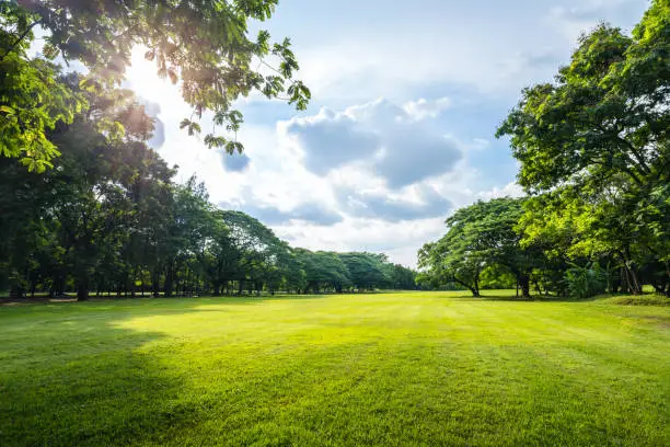 istockphoto-841278554-612x612.webp